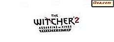 Tải xuống Theme Witcher 2 cho Windows 7